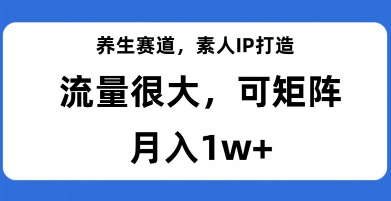 养生赛道,素人IP打造,流量很大,可矩阵,月入1w+【揭秘】-知乎者也