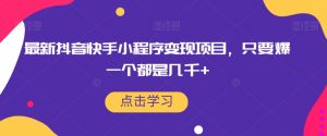 最新抖音快手小程序变现项目，只要爆一个都是几千+-知乎者也