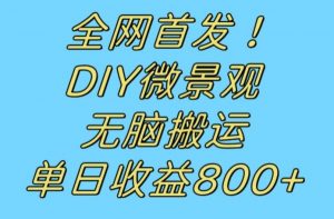 全网首发冷门赛道!DIY微景观,无脑搬运视频,日收益800+【揭秘】-知乎者也