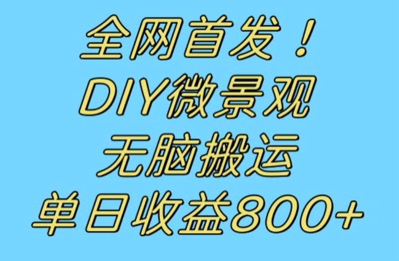 全网首发冷门赛道!DIY微景观,无脑搬运视频,日收益800+【揭秘】-知乎者也