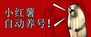 小红书养号秘籍,如何自动涨粉清晰系统标签打造高权重账号【揭秘】-知乎者也