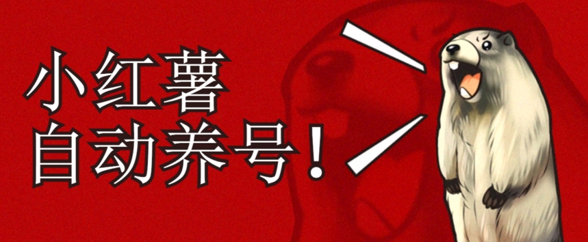 小红书养号秘籍,如何自动涨粉清晰系统标签打造高权重账号【揭秘】-知乎者也