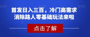 首发日入三百，冷门高需求消除路人零基础玩法来啦【揭秘】-知乎者也