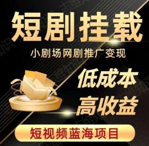 2023短视频蓝海项目,抖音快手短剧推广变现教程,低成本高收益-知乎者也
