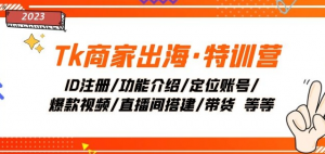 Tk商家出海·特训营:ID注册/功能介绍/定位账号/爆款视频/直播间搭建/带货-知乎者也