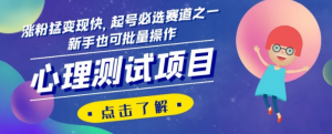 心理测试项目，涨粉猛变现快，起号必选赛道之一，新手也可批量操作【揭秘】-知乎者也