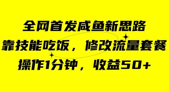 咸鱼冷门新玩法，靠“技能吃饭”，修改流量套餐，操作1分钟，收益50【揭秘】-知乎者也