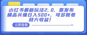 小红书最新玩法2.0，靠发布精品头像日入500+，可多账号放大收益！【揭秘】-知乎者也
