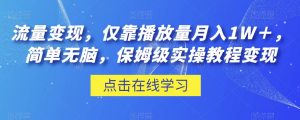 流量变现，仅靠播放量月入1W＋，简单无脑，保姆级实操教程【揭秘】-知乎者也
