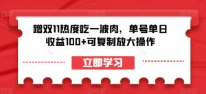 蹭双11热度吃一波肉，单号单日收益100+可复制放大操作【揭秘】-知乎者也
