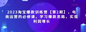 2023淘宝爆款训练营【第2期】，电商运营的必修课，学习爆款思路，实现利润增长-知乎者也