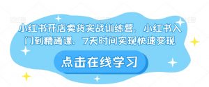 小红书开店卖货实战训练营,小红书入门到精通课,7天时间实现快速变现-知乎者也