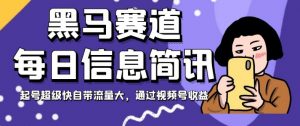 黑马赛道每日信息简讯，起号超级快自带流量大，通过视频号收益【揭秘】-知乎者也
