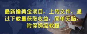最新撸美金项目,上传文件,通过下载量获取收益,简单无脑,附保姆级教程【揭秘】-知乎者也
