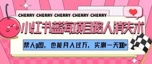 小红书蓝海项目路人消失术，帮人p图，也能月入过万，实测一天300+【揭秘】-知乎者也
