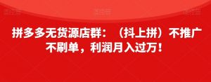 拼多多无货源店群：（抖上拼）不推广不刷单，利润月入过万！【揭秘】-知乎者也