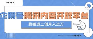 最新蓝海项目,企鹅号腾讯内容开放平台项目,靠搬运二创月入过万【揭秘】-知乎者也