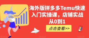 海外版拼多多Temu快速入门实操课,店铺实战从0到1-知乎者也
