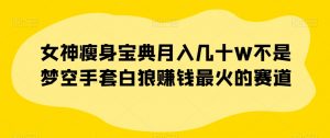 女神瘦身宝典月入几十W不是梦空手套白狼赚钱最火的赛道【揭秘】-知乎者也
