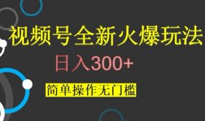视频号最新爆火玩法,日入300+,简单操作无门槛【揭秘】-知乎者也