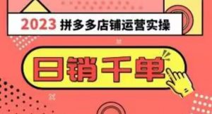 2023拼多多运营实操，每天30分钟日销1000＋，爆款选品技巧大全（10节课）-知乎者也