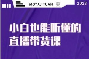 大威本威·能听懂的直播带货课,小白也能听懂,20节完整-知乎者也