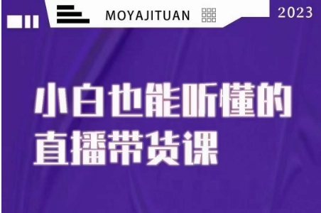 大威本威·能听懂的直播带货课，小白也能听懂，20节完整-知乎者也