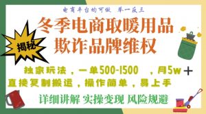 利用电商平台冬季销售取暖用品欺诈行为合理制裁店铺,单日入900+【仅揭秘】-知乎者也