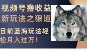 视频号撸收益新玩法之狼道,目前蓝海玩法,轻松月入过万【揭秘】-知乎者也