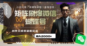 矩阵刷爆微信蝴蝶号创作者分成计划收益的新玩法,日入2000+【揭秘】-知乎者也