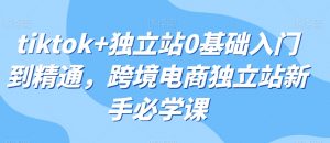 tiktok+独立站0基础入门到精通，跨境电商独立站新手必学课-知乎者也
