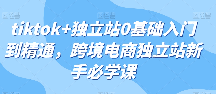 tiktok+独立站0基础入门到精通，跨境电商独立站新手必学课-知乎者也