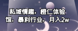 私域情趣，橙仁体验馆，暴利行业，月入2w【揭秘】-知乎者也