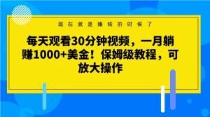 每天观看30分钟视频，一月躺赚1000+美金！保姆级教程，可放大操作【揭秘】-知乎者也