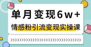 单月变现6W+，抖音情感粉引流变现实操课，小白可做，轻松上手，独家赛道【揭秘】-知乎者也