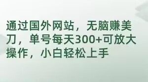 通过国外网站,无脑赚美刀,单号每天300+可放大操作,小白轻松上手【揭秘】-知乎者也