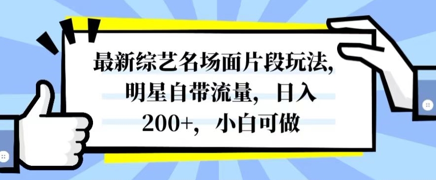 最新综艺名场面片段玩法，明星自带流量，日入200+，小白可做【揭秘】-知乎者也