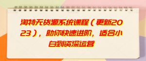 淘特无货源系统课程(更新2023),助你快速进阶,适合小白到资深运营-知乎者也