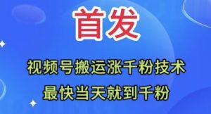 全网首发：视频号无脑搬运涨千粉技术，最快当天到千粉【揭秘】-知乎者也
