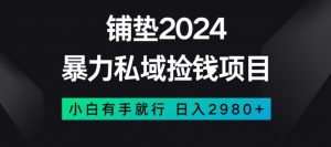 暴力私域捡钱项目，小白无脑操作，日入2980【揭秘】-知乎者也