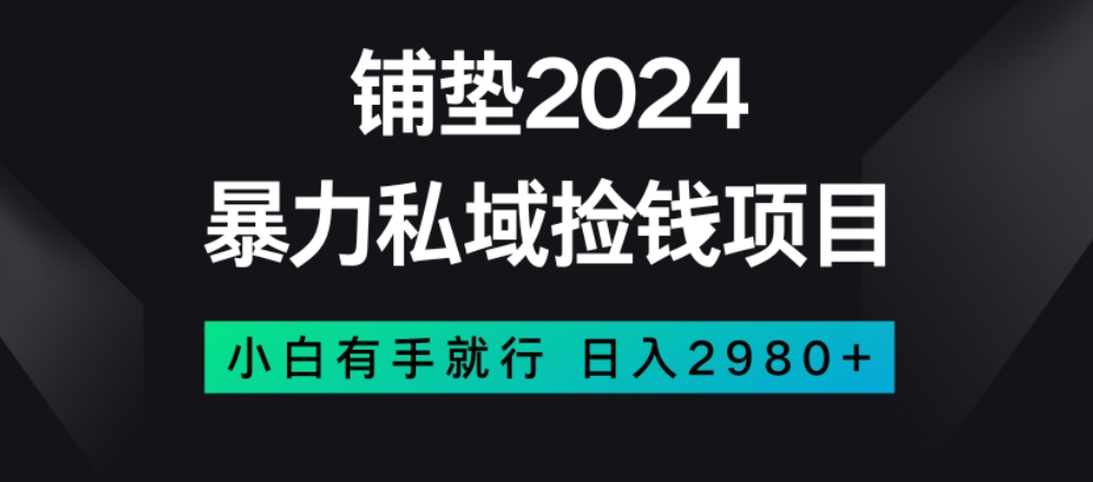 暴力私域捡钱项目，小白无脑操作，日入2980【揭秘】-知乎者也