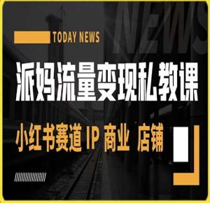 派妈流量变现私教课,小红书赛道IP 商业 店铺 -知乎者也