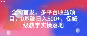 全网首发，多平台收益项目，0基础日入500+，保姆级教学实操落地【揭秘】-知乎者也