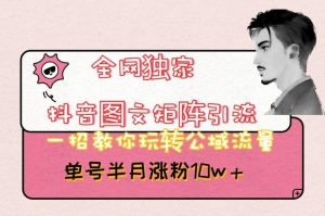 全网独家抖音图文矩阵引流，一招教你玩转公域流量，单号半月涨粉10w+【揭秘】-知乎者也