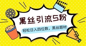 S粉变现,轻松日入四位数,黑丝题材+情感话术【揭秘】-知乎者也
