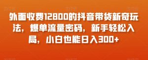外面收费12800的抖音带货新奇玩法，爆单流量密码，新手轻松入局，小白也能日入300+【揭秘】-知乎者也