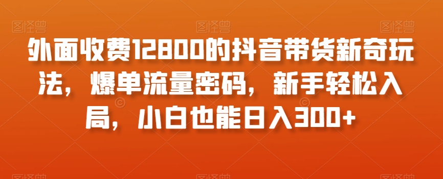 外面收费12800的抖音带货新奇玩法,爆单流量密码,新手轻松入局,小白也能日入300+【揭秘】-知乎者也