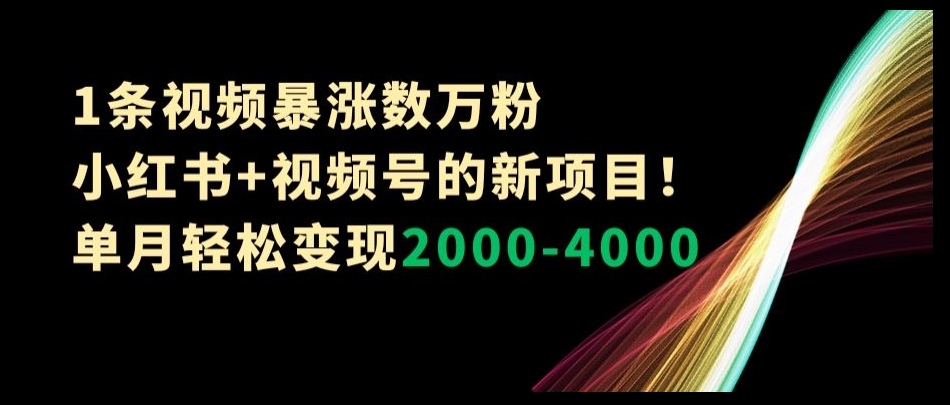 1条视频暴涨数万粉–小红书+视频号的新项目!单月轻松变现2000-4000【揭秘】-知乎者也