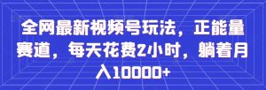 全网最新视频号玩法，正能量赛道，每天花费2小时，躺着月入10000+【揭秘】-知乎者也