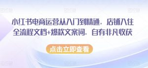 小红书电商运营从入门到精通，店铺入住全流程文档+爆款文案词，自有非凡收获-知乎者也